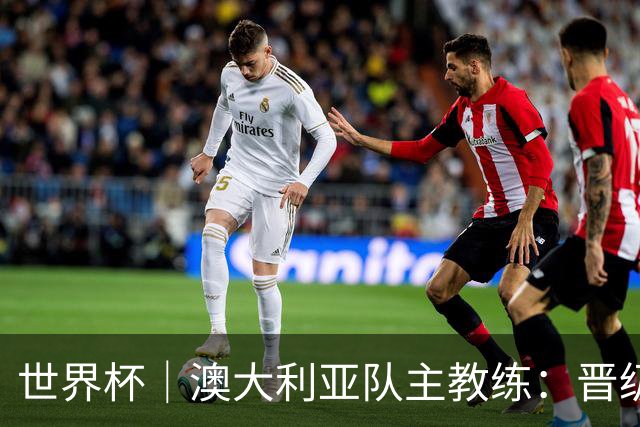 世界杯｜澳大利亚队主教练：晋级淘汰赛是我们应得的