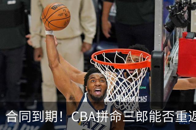 合同到期！CBA拼命三郎能否重返广东？期待辅佐徐杰、胡明轩