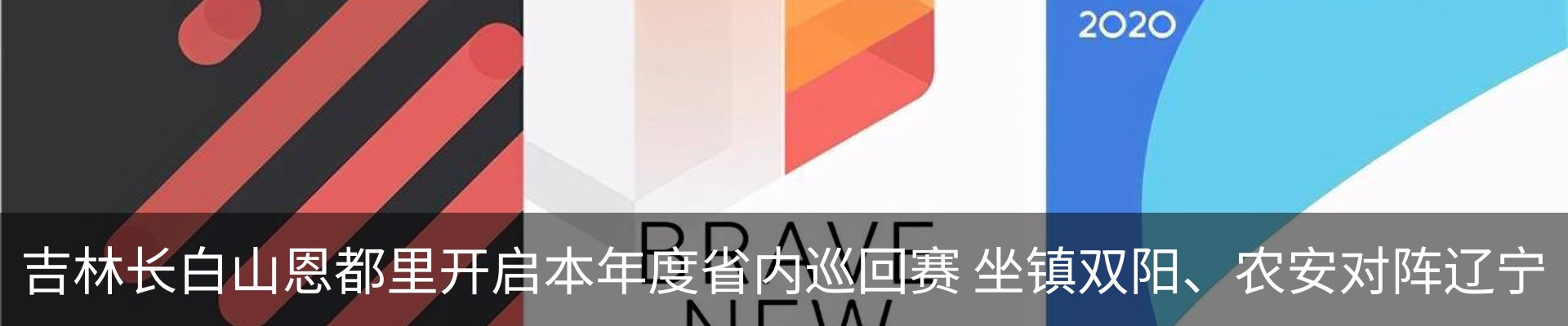 新闻动态