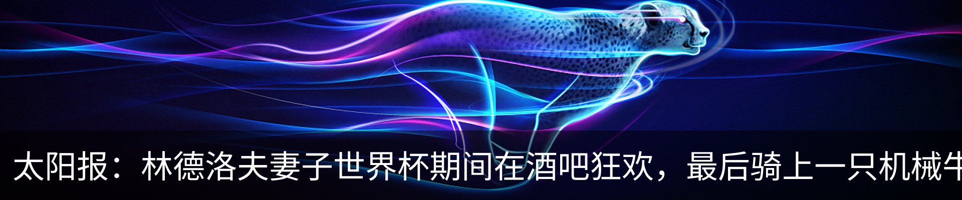 新闻动态