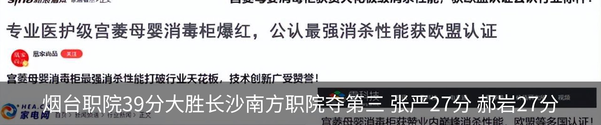 新闻动态