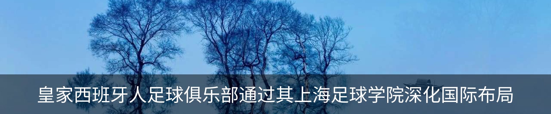 新闻动态